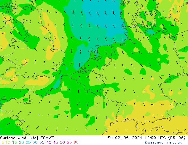 Vento 10 m ECMWF Dom 02.06.2024 12 UTC