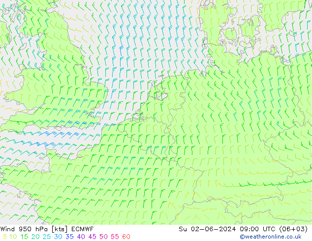  950 hPa ECMWF  02.06.2024 09 UTC