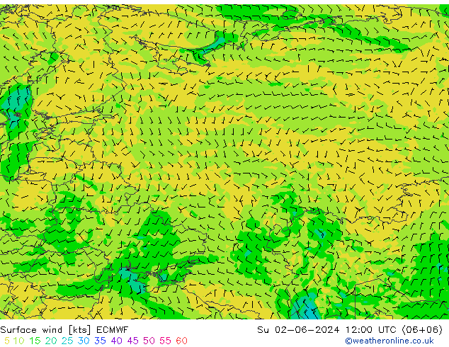 ветер 10 m ECMWF Вс 02.06.2024 12 UTC