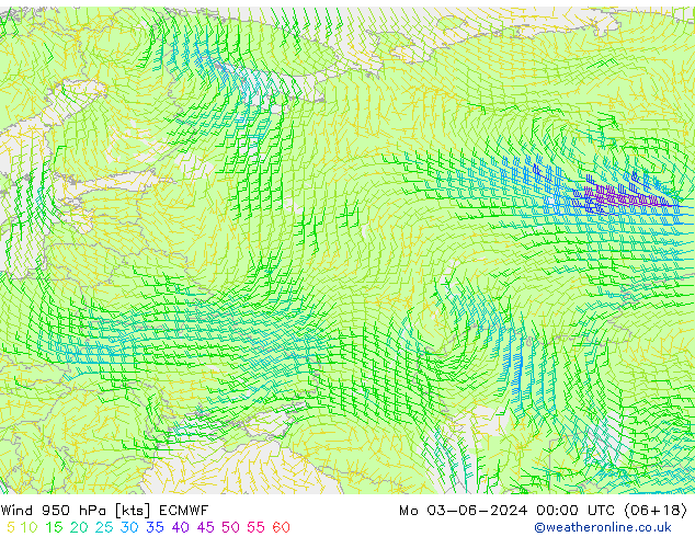 Rüzgar 950 hPa ECMWF Pzt 03.06.2024 00 UTC
