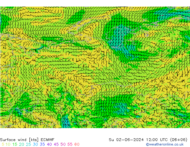 Prec 6h/Wind 10m/950 ECMWF dim 02.06.2024 12 UTC