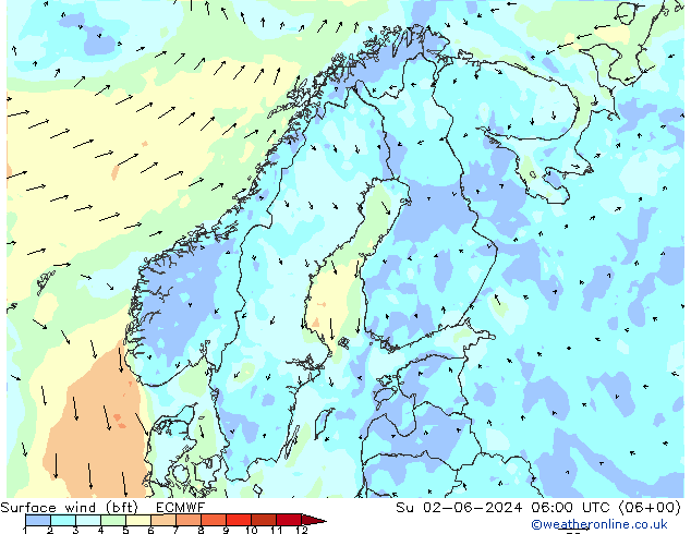 Rüzgar 10 m (bft) ECMWF Paz 02.06.2024 06 UTC