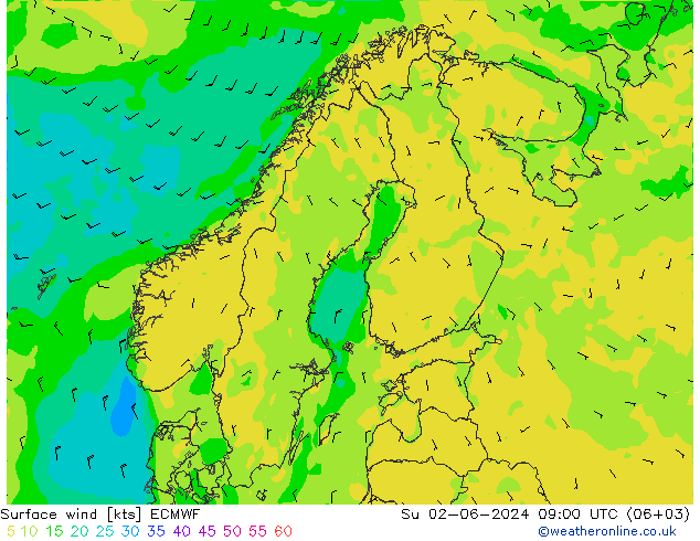 Vento 10 m ECMWF Dom 02.06.2024 09 UTC