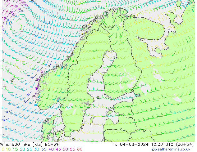 Rüzgar 900 hPa ECMWF Sa 04.06.2024 12 UTC