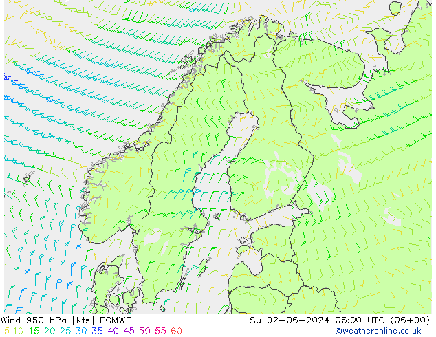 Rüzgar 950 hPa ECMWF Paz 02.06.2024 06 UTC