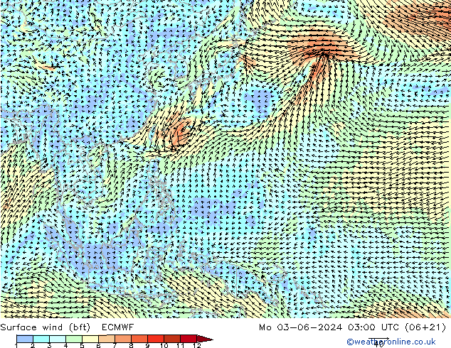 Viento 10 m (bft) ECMWF lun 03.06.2024 03 UTC