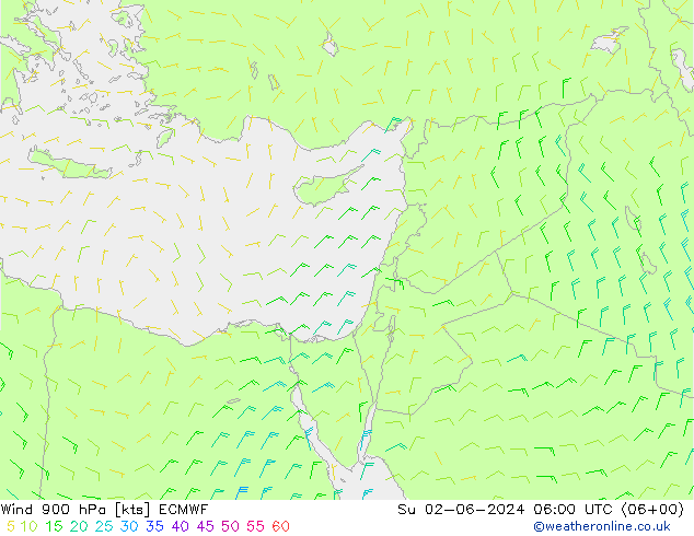 Wind 900 hPa ECMWF Ne 02.06.2024 06 UTC