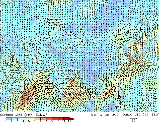 Wind 10 m (bft) ECMWF ma 10.06.2024 00 UTC