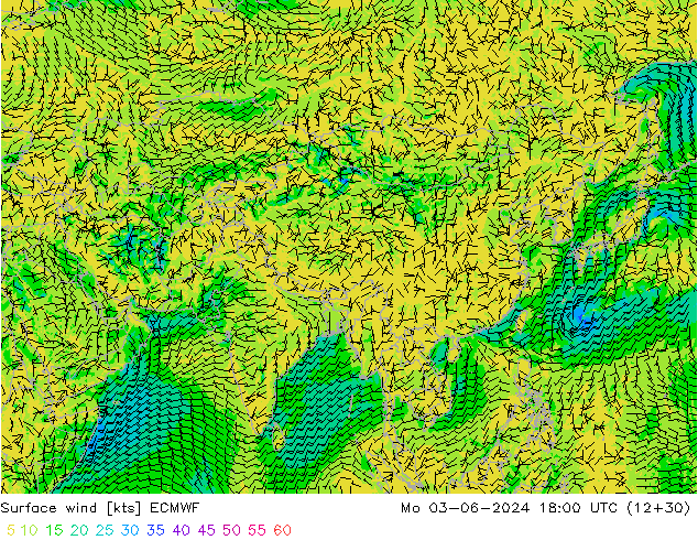 Vento 10 m ECMWF lun 03.06.2024 18 UTC