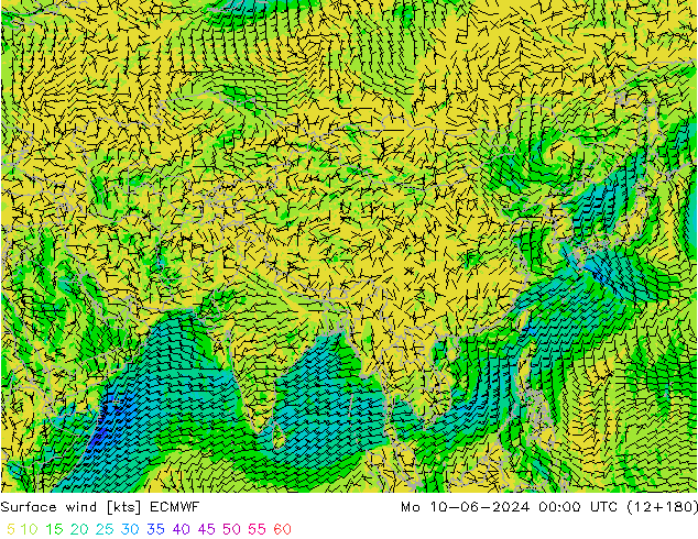 Wind 10 m ECMWF ma 10.06.2024 00 UTC