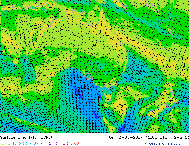 Surface wind ECMWF St 12.06.2024 12 UTC