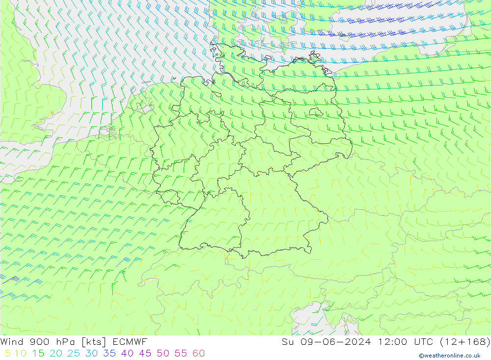 ветер 900 гПа ECMWF Вс 09.06.2024 12 UTC
