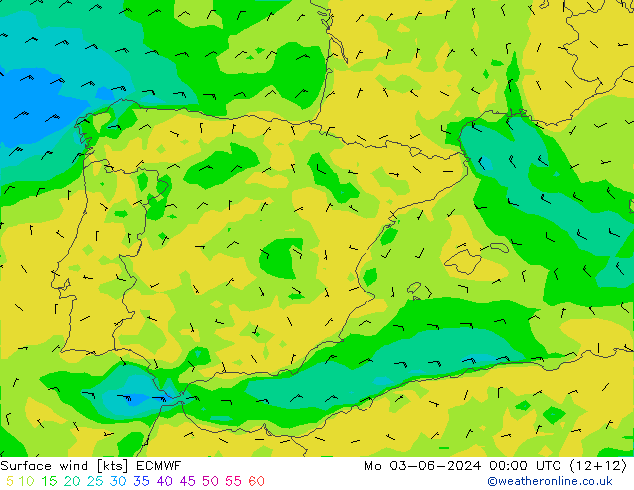 Rüzgar 10 m ECMWF Pzt 03.06.2024 00 UTC