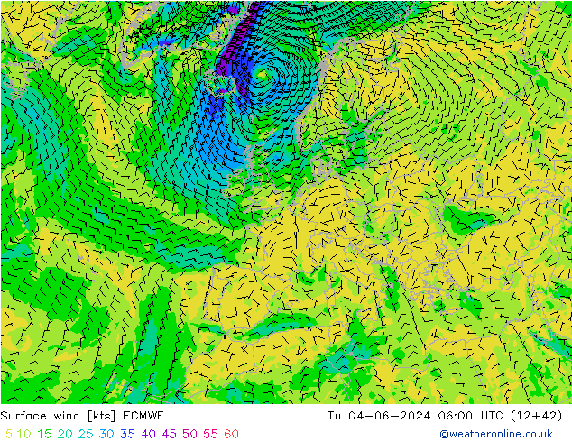 Surface wind ECMWF Tu 04.06.2024 06 UTC