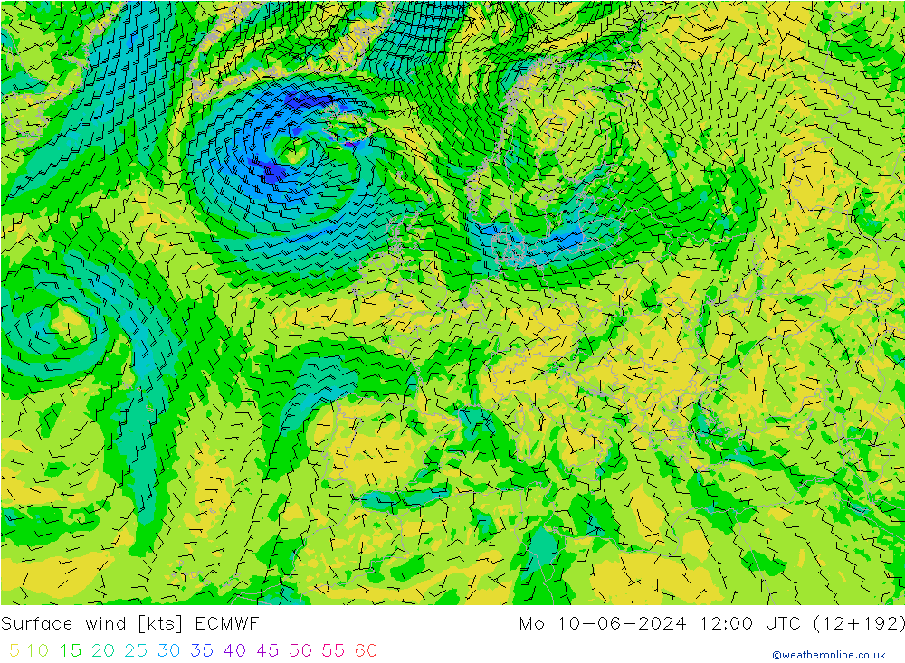 Surface wind ECMWF Mo 10.06.2024 12 UTC