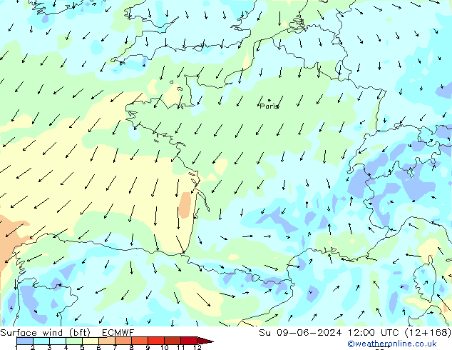 Surface wind (bft) ECMWF Su 09.06.2024 12 UTC