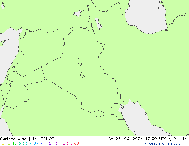 Surface wind ECMWF So 08.06.2024 12 UTC