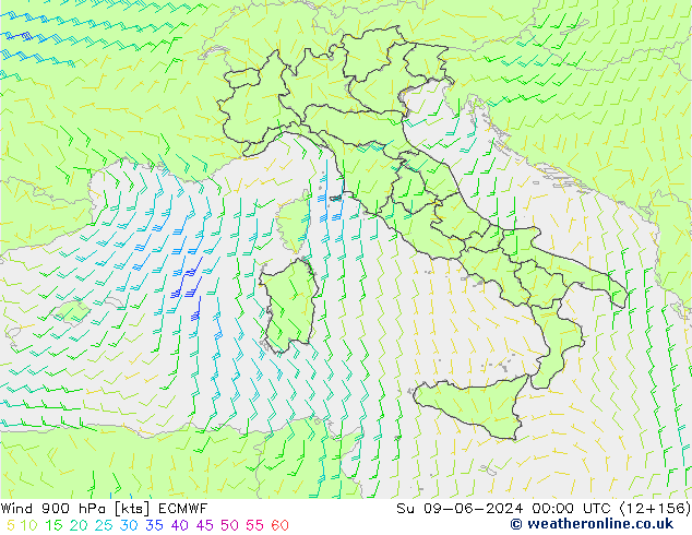 Vent 900 hPa ECMWF dim 09.06.2024 00 UTC