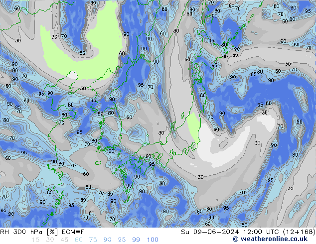 RH 300 hPa ECMWF Dom 09.06.2024 12 UTC