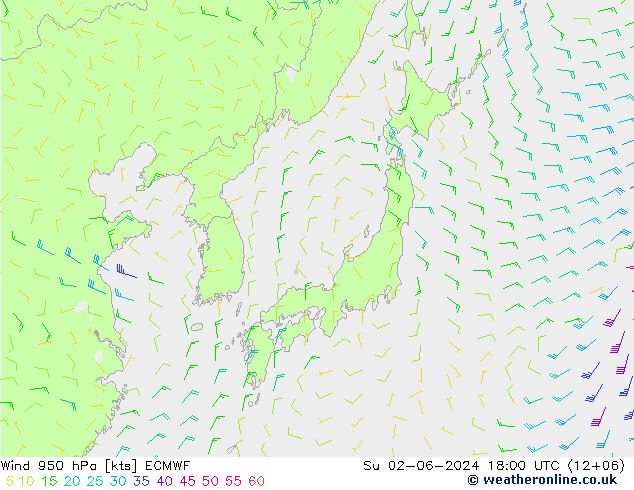 Prec 6h/Wind 10m/950 ECMWF Вс 02.06.2024 18 UTC