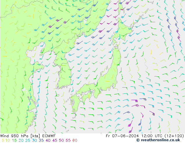 Wind 950 hPa ECMWF Fr 07.06.2024 12 UTC