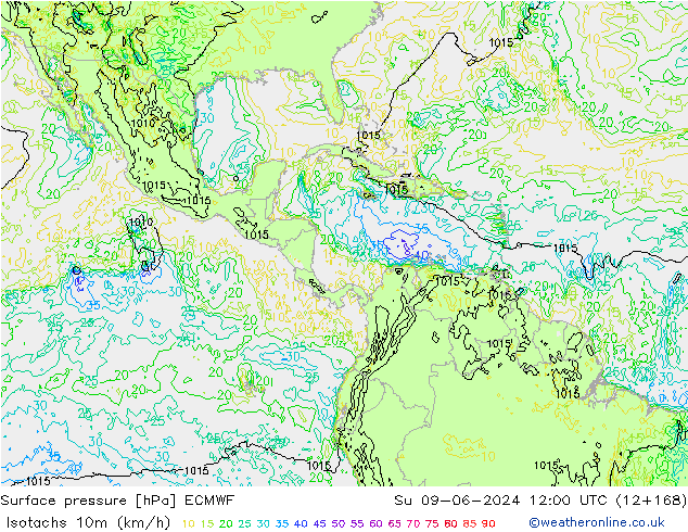 Isotachen (km/h) ECMWF zo 09.06.2024 12 UTC