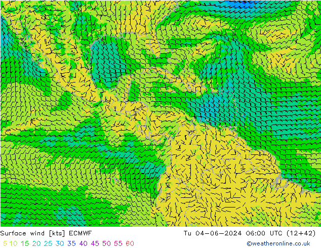 Surface wind ECMWF Út 04.06.2024 06 UTC