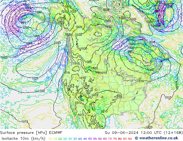 Isotachen (km/h) ECMWF So 09.06.2024 12 UTC