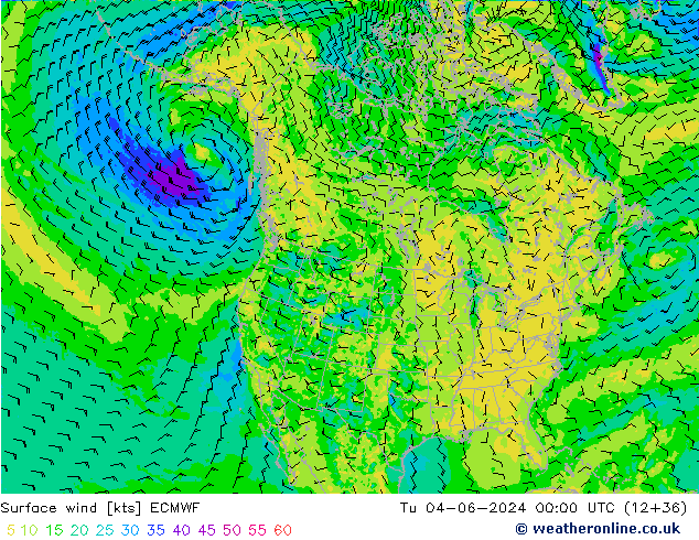 Vento 10 m ECMWF Ter 04.06.2024 00 UTC