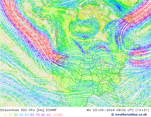 ветер 300 гПа ECMWF пн 03.06.2024 09 UTC