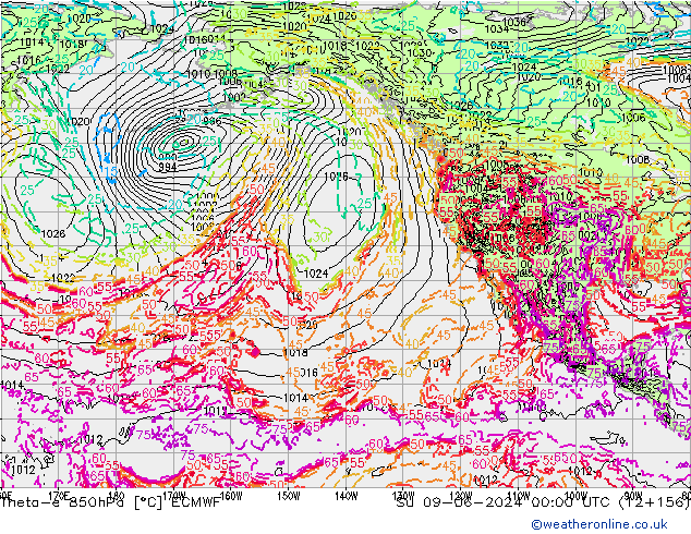 Theta-e 850hPa ECMWF  09.06.2024 00 UTC