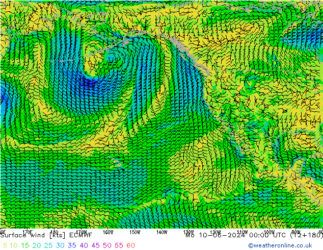 Surface wind ECMWF Po 10.06.2024 00 UTC