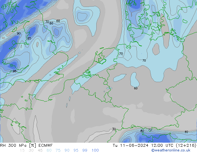 RV 300 hPa ECMWF di 11.06.2024 12 UTC