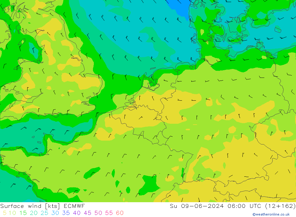 Vento 10 m ECMWF Dom 09.06.2024 06 UTC