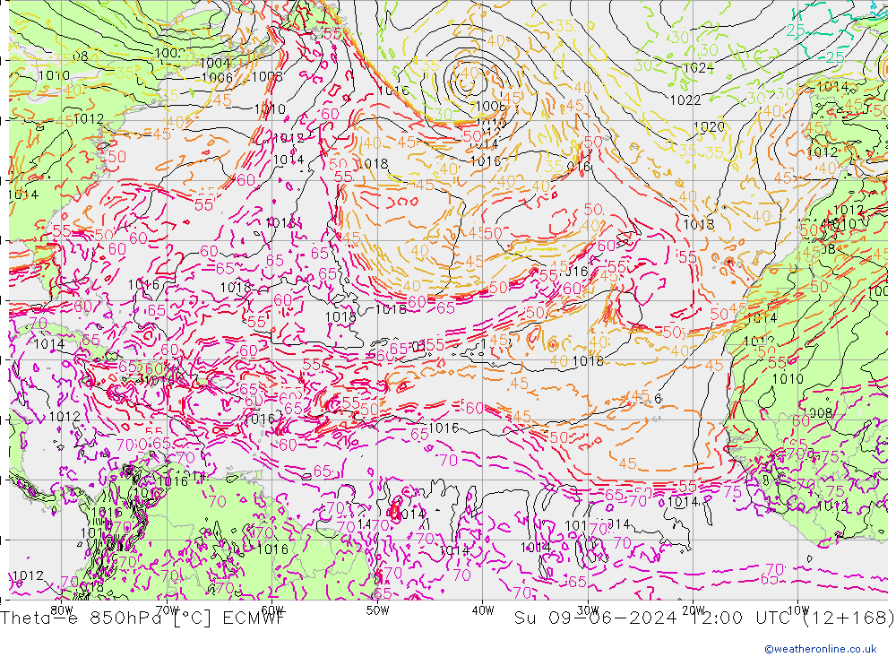 Theta-e 850hPa ECMWF Su 09.06.2024 12 UTC