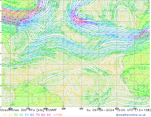 Rüzgar 300 hPa ECMWF Paz 09.06.2024 12 UTC