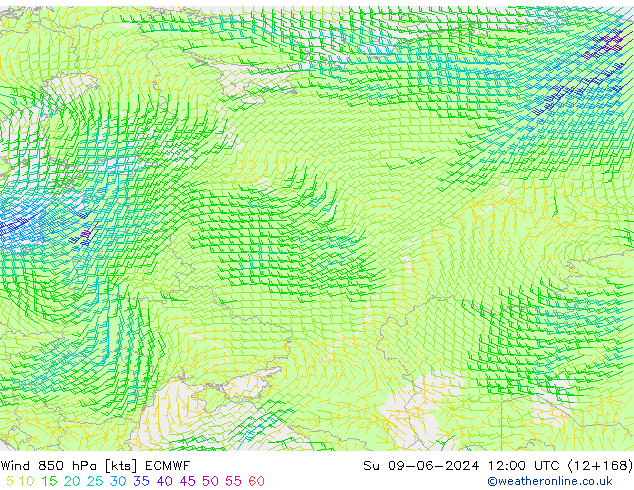 Wind 850 hPa ECMWF Su 09.06.2024 12 UTC