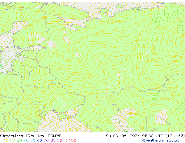  10m ECMWF  09.06.2024 06 UTC