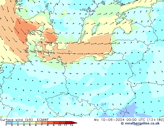 Rüzgar 10 m (bft) ECMWF Pzt 10.06.2024 00 UTC