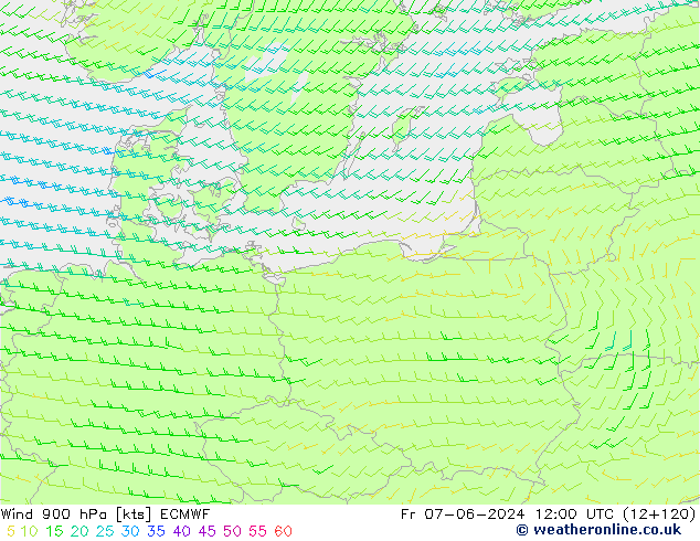 Wind 900 hPa ECMWF Fr 07.06.2024 12 UTC