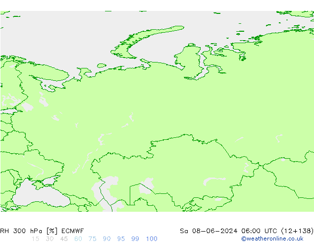 RH 300 гПа ECMWF сб 08.06.2024 06 UTC