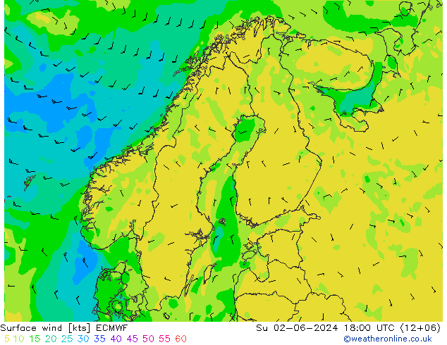 Surface wind ECMWF Su 02.06.2024 18 UTC