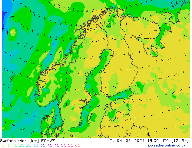 Surface wind ECMWF Tu 04.06.2024 18 UTC