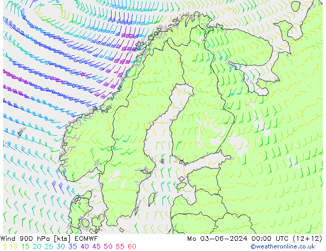 Wind 900 hPa ECMWF Mo 03.06.2024 00 UTC