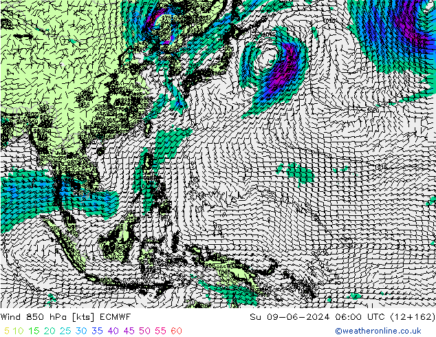 Rüzgar 850 hPa ECMWF Paz 09.06.2024 06 UTC