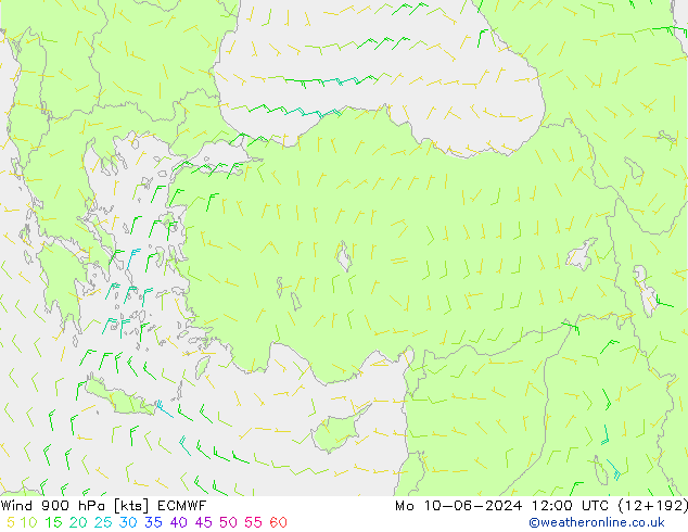 Vento 900 hPa ECMWF Seg 10.06.2024 12 UTC