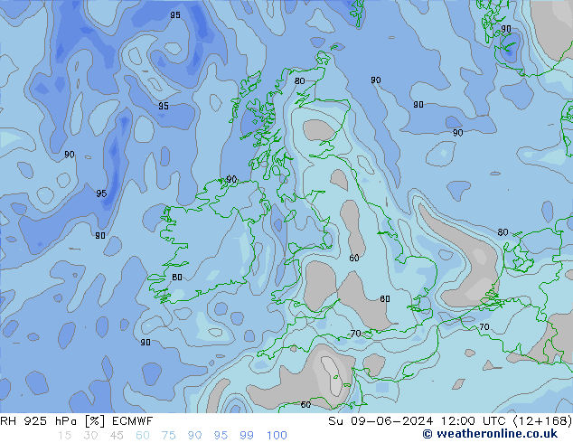 RH 925 hPa ECMWF Ne 09.06.2024 12 UTC