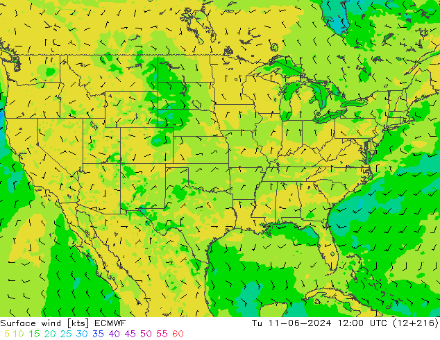 Surface wind ECMWF Út 11.06.2024 12 UTC