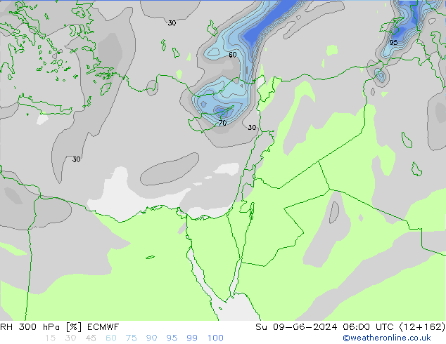 Humedad rel. 300hPa ECMWF dom 09.06.2024 06 UTC