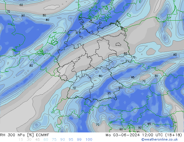 RH 300 гПа ECMWF пн 03.06.2024 12 UTC